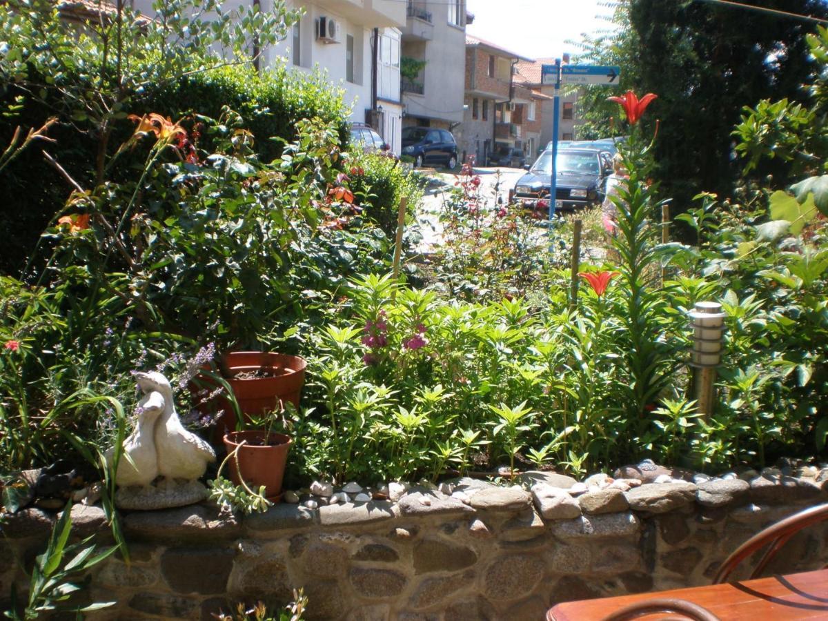 Family Hotel Emilia Sosopol Exterior foto