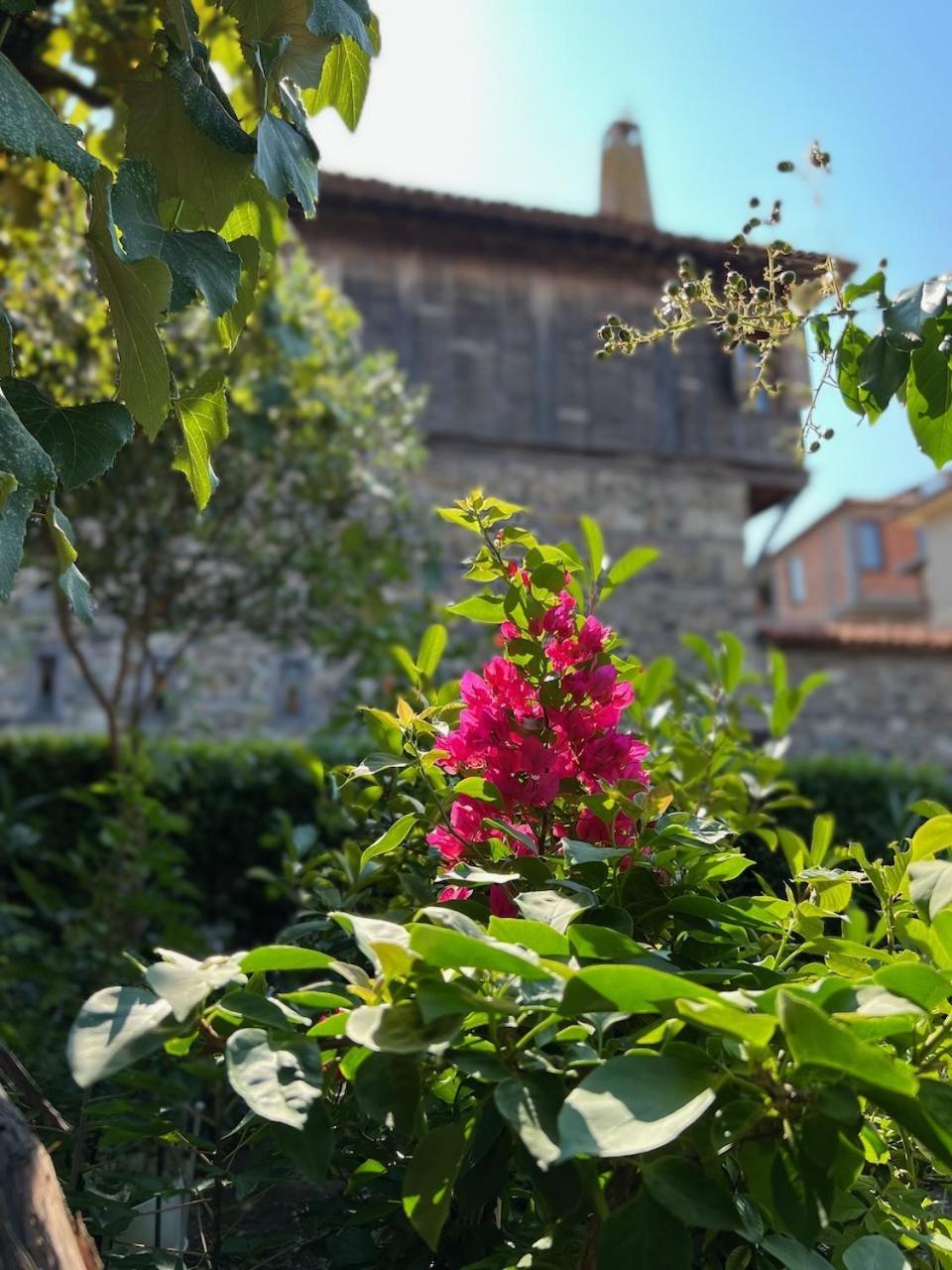 Family Hotel Emilia Sosopol Exterior foto