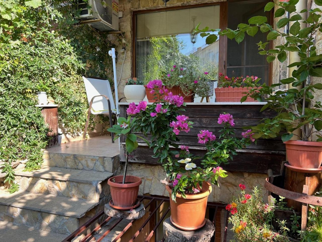 Family Hotel Emilia Sosopol Exterior foto
